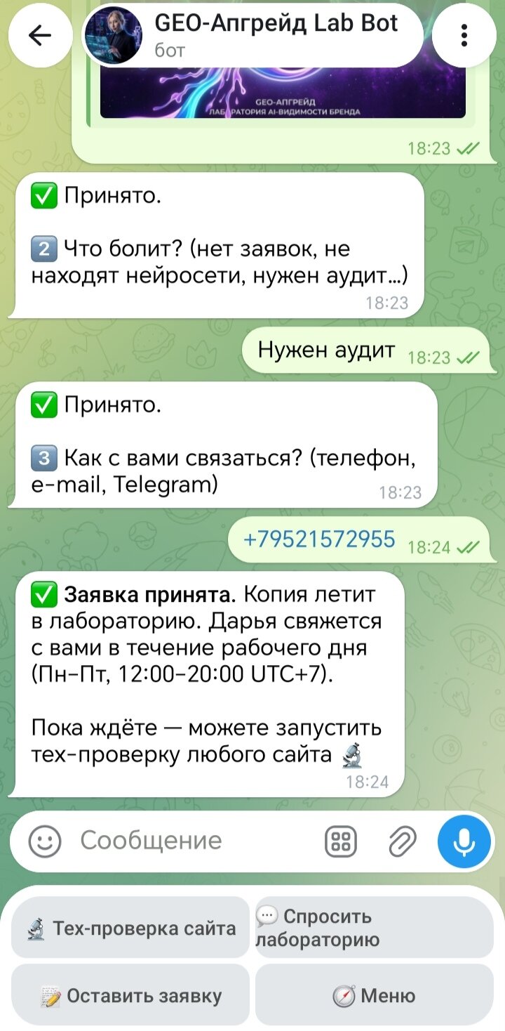 Диалог заявки: Лаббот спрашивает «что болит?» и контакт — гость отвечает «Нужен аудит» и оставляет телефон